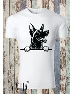 belgian malinois