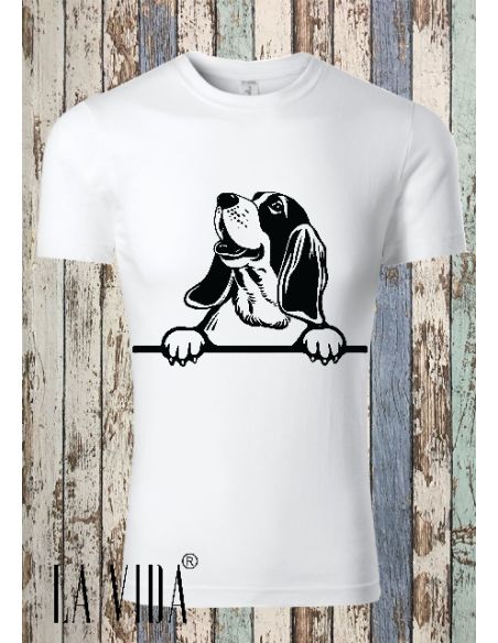 basset hound