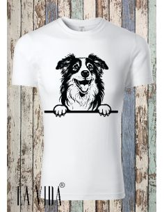 australian shepherd