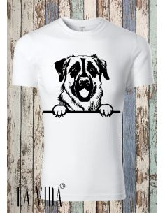 ANATOLIAN SHEPHERD DOG 1