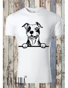 amstaff 1