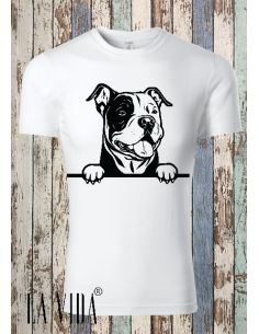 american bully