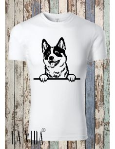 Akita