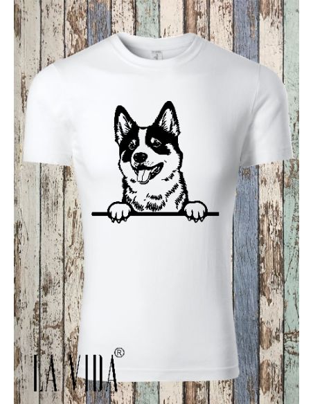 Akita