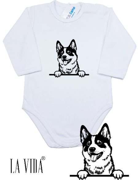 Akita