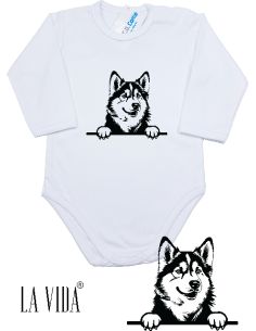 alaskan malamute