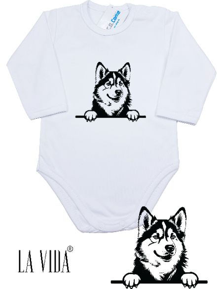 alaskan malamute