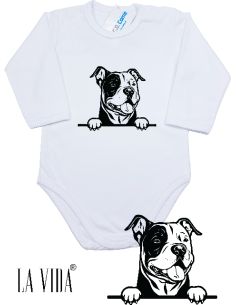 american bully