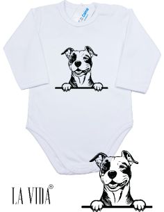 amstaff 1