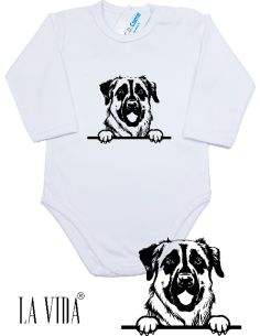 ANATOLIAN SHEPHERD DOG 1