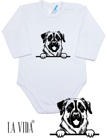 ANATOLIAN SHEPHERD DOG 1