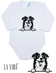 australian shepherd