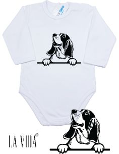 basset hound