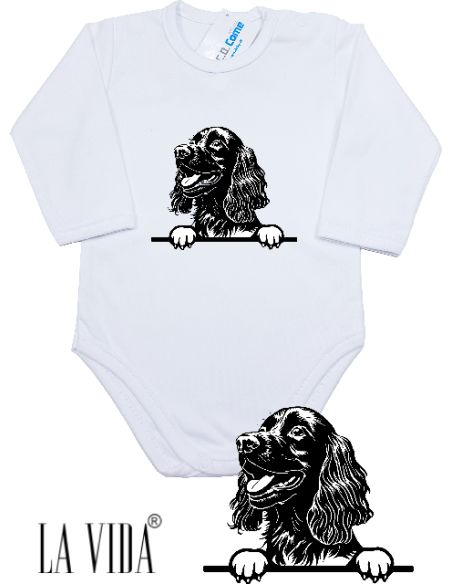 BOYKIN SPANIEL