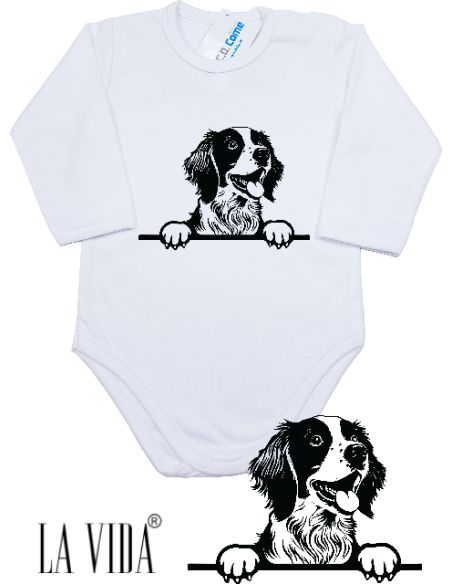 brittany spaniel