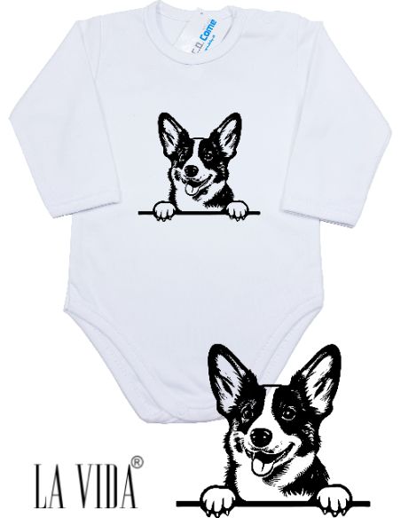 cardigan welsh corgi 1