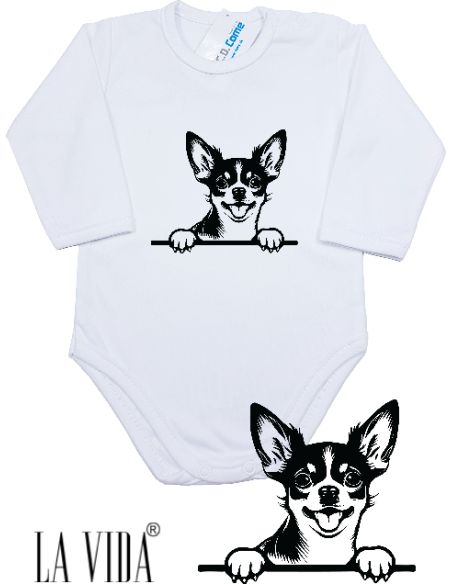 chesapeake bay retriever