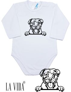 AMERICAN PITBULL