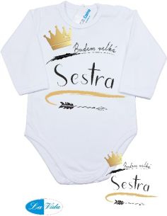 BD 131 Budem veľká sestra 1